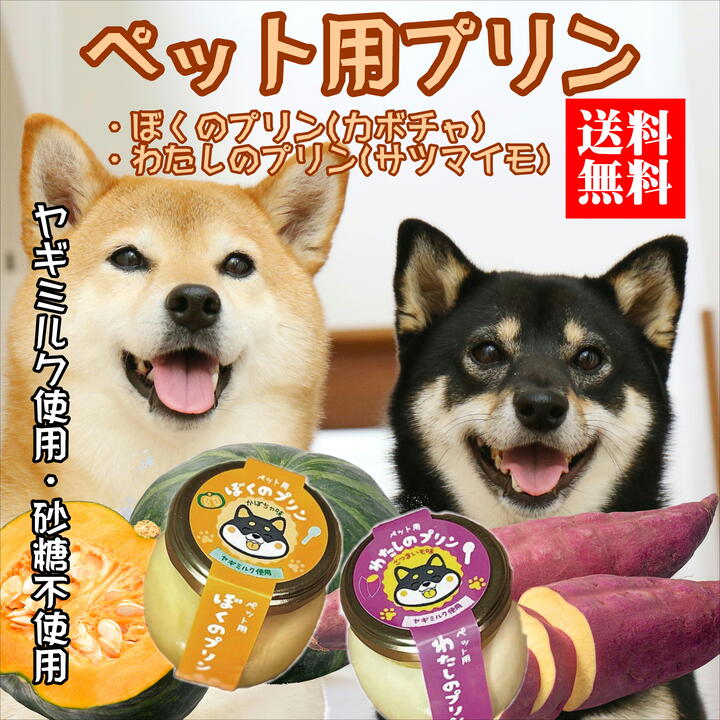 【犬用 おやつ 誕生日 ご褒美】常温 犬用プリン 6個セット カボチャ サツマイモ 砂糖不使用 ヤギミルク 無添加 国産 送料無料 賞味期限1年 犬 誕生日プレゼント 犬用スイーツ おやつ プレゼント ギフト ペット スイーツ
