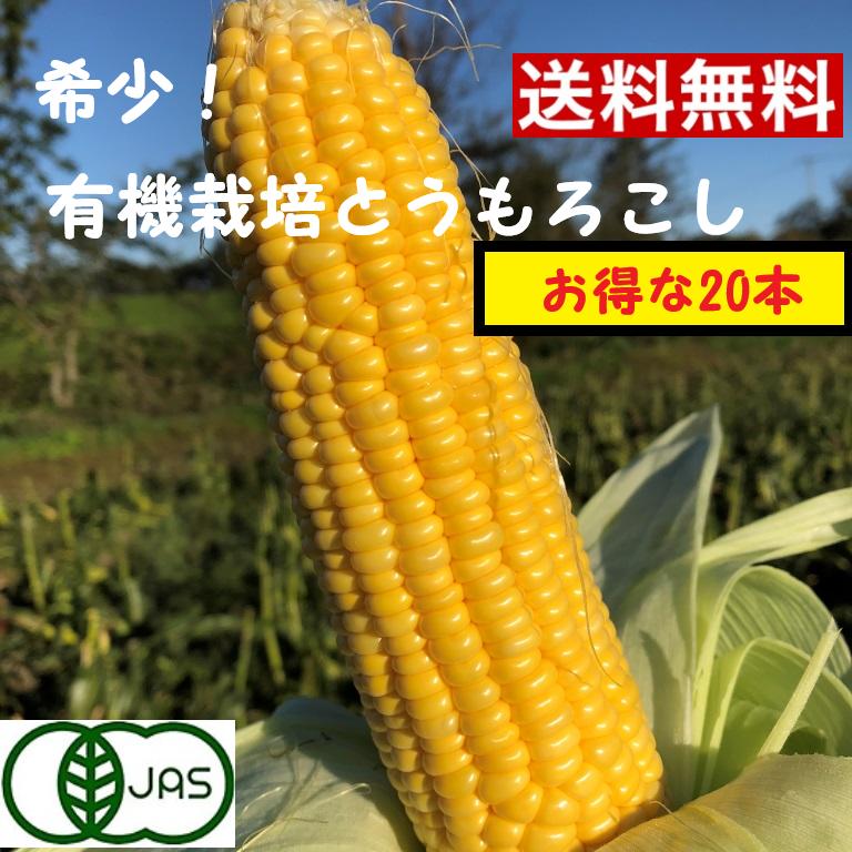 全国お取り寄せグルメ食品ランキング[とうもろこし(31～60位)]第50位