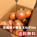 【送料無料】北海道十勝から農家の新たまねぎ約6キロ入り 約2...