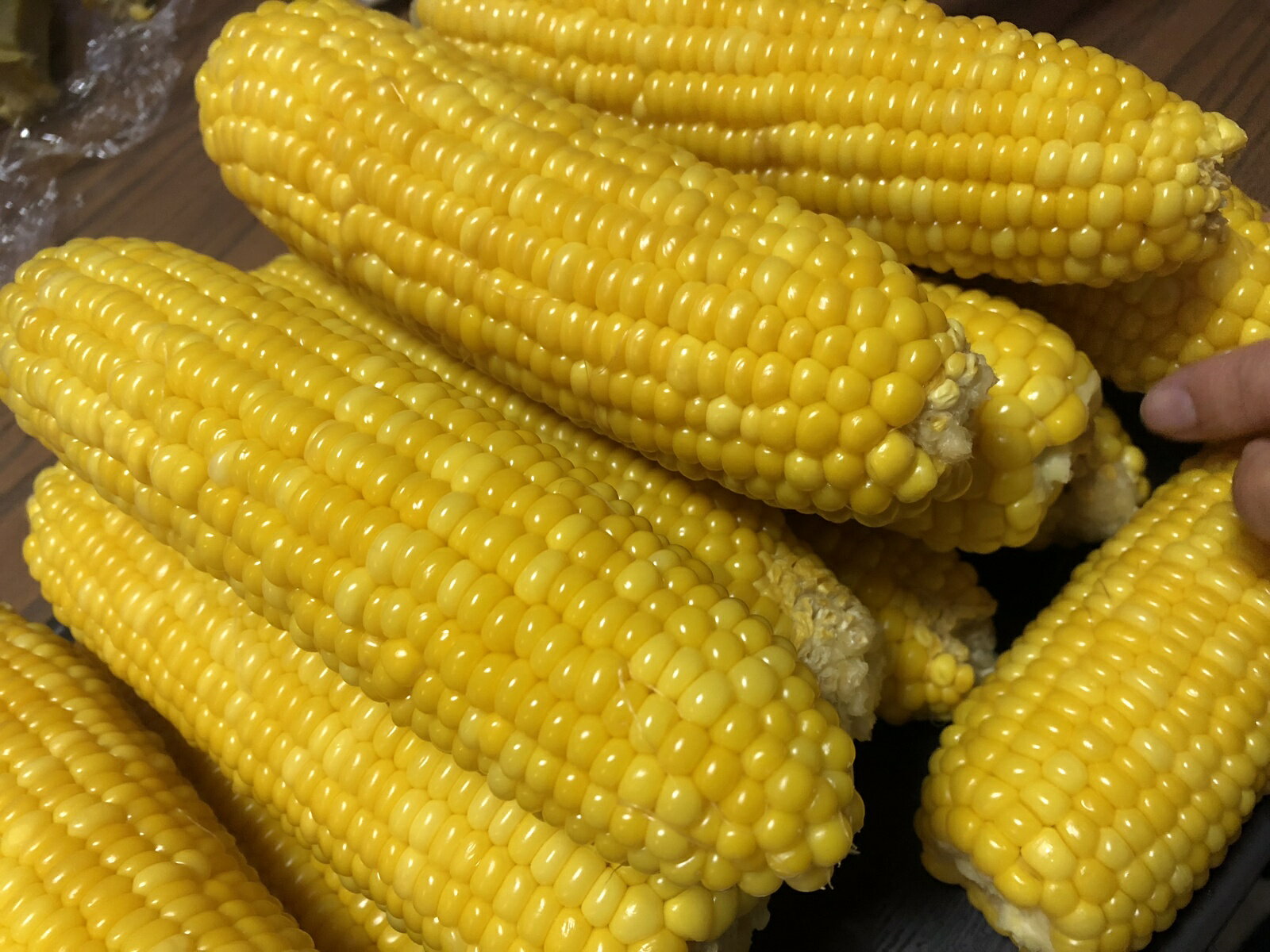 ͽ����ճ��ϡ�R8ǯ��������̵�����ڴ�����ͭ�����ݡ��̳�ƻ�������������˥å��Ȥ��������10�����ꡡ������̵����ī�⤮ľ��������������������Ω�ä��ޤ����������ٰݻ���������ɥ�å��塡��������������Ի��ѡ����������Ի��ѡ�����ڡ���£��