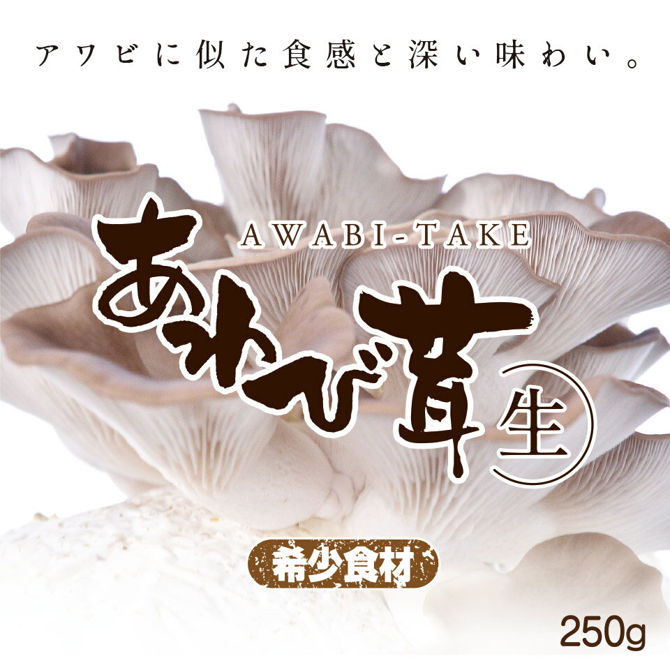 希少 【茨城県産】 生あわび茸 約250g前後 きのこ 肉厚 生 お取り寄せ グルメ 新鮮食材 採れたて出荷 黒あわび茸 あわびたけ 菌床栽培 調理法多数 コリコリした歯応え 旨味成分たっぷり 栄養 和食 中華 洋食 出汁 濃厚出汁 バター醤油 天ぷら 煮物 炊き込みご飯 シチュー 鍋