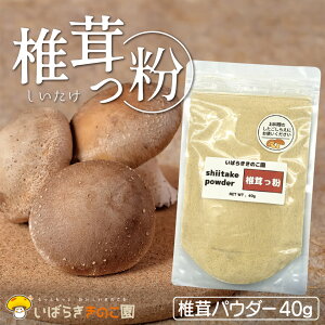 【茨城県産】 椎茸っ粉 約40g前後 粉末状 パウダー きのこ 乾燥 新鮮 菌床栽培 使用法多数 おいしくなる うまくなる 旨味たっぷり 万能調味料 隠し味 和食 洋食 中華 出汁 炊き込みご飯 チャーハン 味噌汁 けんちん汁 お鍋 煮物 水戸市 いばらききのこ園