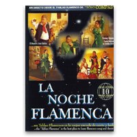 ラ・ノーチェ・フラメンカ　La Noche Flamenca【フラメンコ鑑賞DVD】『1点のみメール便可』