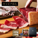 【 高級 キャビア と生ハム】 生ハム ミニ原木 約230g キャビア 20g 母の日 父の日 プレゼント ギフト 高級 ワイン に合う おつまみ 送料無料 冷凍