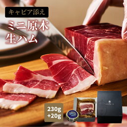 【 高級 キャビア と生ハム】 生ハム ミニ原木 約230g キャビア 20g 母の日 父の日 プレゼント ギフト 高級 ワイン に合う おつまみ 送料無料 冷凍