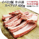 イベリコ豚 スペアリブ 骨付き 600g 【最高級ベジョータ】BBQ ス豚肉 バーベキュー ブロック 輸入 無料レシピ付き バーベキュー 肉 食材