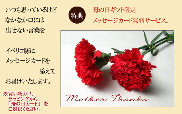 【 母の日ギフト】イベリコ豚 肩ロース ステーキ 4枚×150g 最高級ベジョータ 食品 お肉 お取り寄せ グルメ 美味しい 誕生日プレゼント 母親 50代 60代 70代 両親