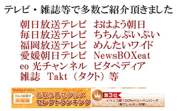 イベリコ豚ハンバーグ5個（1個約110g）焼き方 レシピ付きハンバーグ ギフト 惣菜 おかず お歳暮 お肉 ギフト お取り寄せ 内祝い 絶品 通販 お取り寄せハンバーグ スエヒロ家