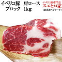 イベリコ豚 肩ロース ブロック 塊肉