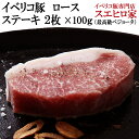 イベリコ豚 ロース ステーキ 肉・とんかつ用 2枚×100g ベジョータ 赤身肉 ギフト プレゼント 豚肉好き お歳暮 父の日 母の日 お取り寄せグルメ 高級肉 イベリコ お肉 内祝い 結婚祝い お返し 誕生日 プレゼント 男性 2人前