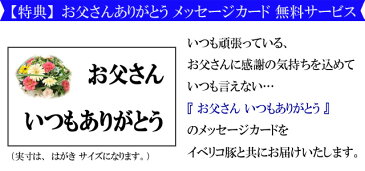 【父の日ギフト】イベリコ豚骨付き肉ロースステーキ2枚　（ベジョータ）父の日プレゼント 赤身肉 骨つき 焼肉 BBQ Iボーン 豚肉 父の日グルメ 父の日 お肉 食べ物 食品 最高級 父の日ギフト 2018年