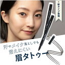 ラスティング アイブロウ リアリー PLANET SURF プラネットサーフ 化粧品 アイブロウ ウォータープルーフ 防水 汗 耐水 眉毛 眉 メイク 美容 ブ...