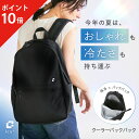 ★ポイント10倍★ クーラーバックパック icy+ ( アイシープラス ) 保冷バッグ 保冷リュック リュック バッグ 大容量 保冷 クーラーバッグ 買い物バッ...
