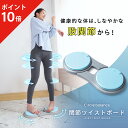 【ポイント10倍】 関節ツイストボード Circle balance ...(4)