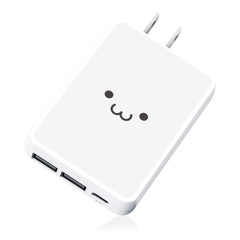 쥳 USB 󥻥 Ŵ 42W ( USB PDб ) Type-C1 / USB-A2  iPhone15/14...