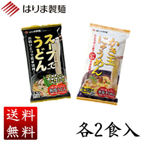 \ 1000円ポッキリ 送料無料 /かき玉詰合せ2食×各1袋入(4食)セット 無塩そうめん・無塩うどん使用 はりま製麺 ポスト投函