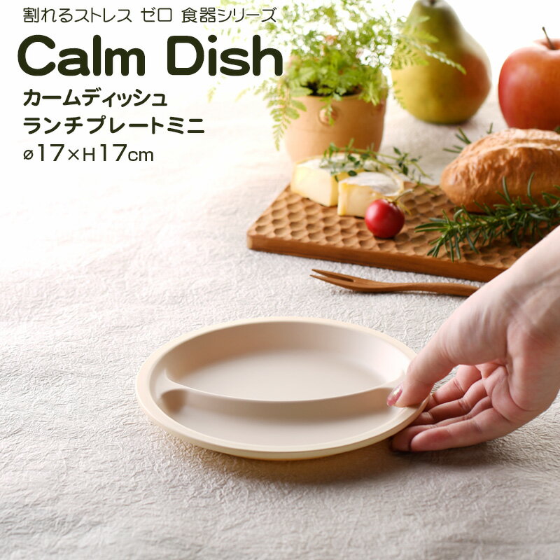 ̾ġġ Calm Dish ǥå塡ץ졼ȥߥ  ץ졼  ץ饹å Żҥ󥸲  TAKENAKA