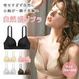 磻쥹֥ ֥ 饤 ꤹʤ դʤ ѥѥʤ֥ 䤨 Ԥäեå ʥȥ֥ץХ  Υ磻䡼 Υ󥹥ȥ쥹 24å BRA+  ʥȥ֥