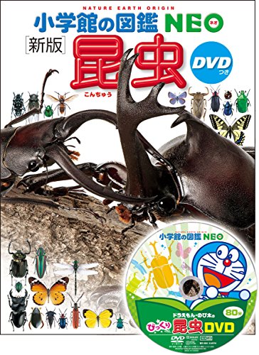 DVD付 新版 昆虫 小学館の図鑑 NEO 