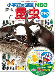 DVD付 新版 昆虫 (小学館の図鑑 NEO)