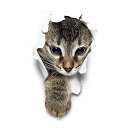 prendre カーステッカー 犬 猫 かわいい 動物 アニマル ドレスアップ 車 バイク カー用品 ステッカー (飛び出す猫) PR-PETST-TOBI
