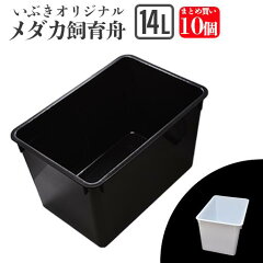 https://thumbnail.image.rakuten.co.jp/@0_mall/ibuki472/cabinet/product/goods_01/gds-3000-0001-1.jpg