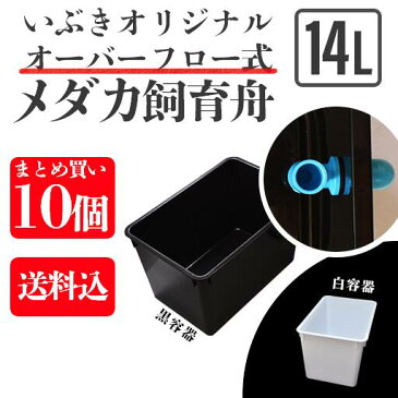 【送料込・同梱不可】オーバーフロー式メダカ舟 黒容器・白容器 14L 10個まとめ買い 水槽 トロ舟 トロファスト 飼育容器 屋外 鉢 大型 プラスチック