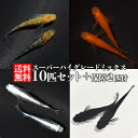 (熱帯魚 生体)ネオンテトラ（SMサイズ　約1.5-2cm）（100匹）