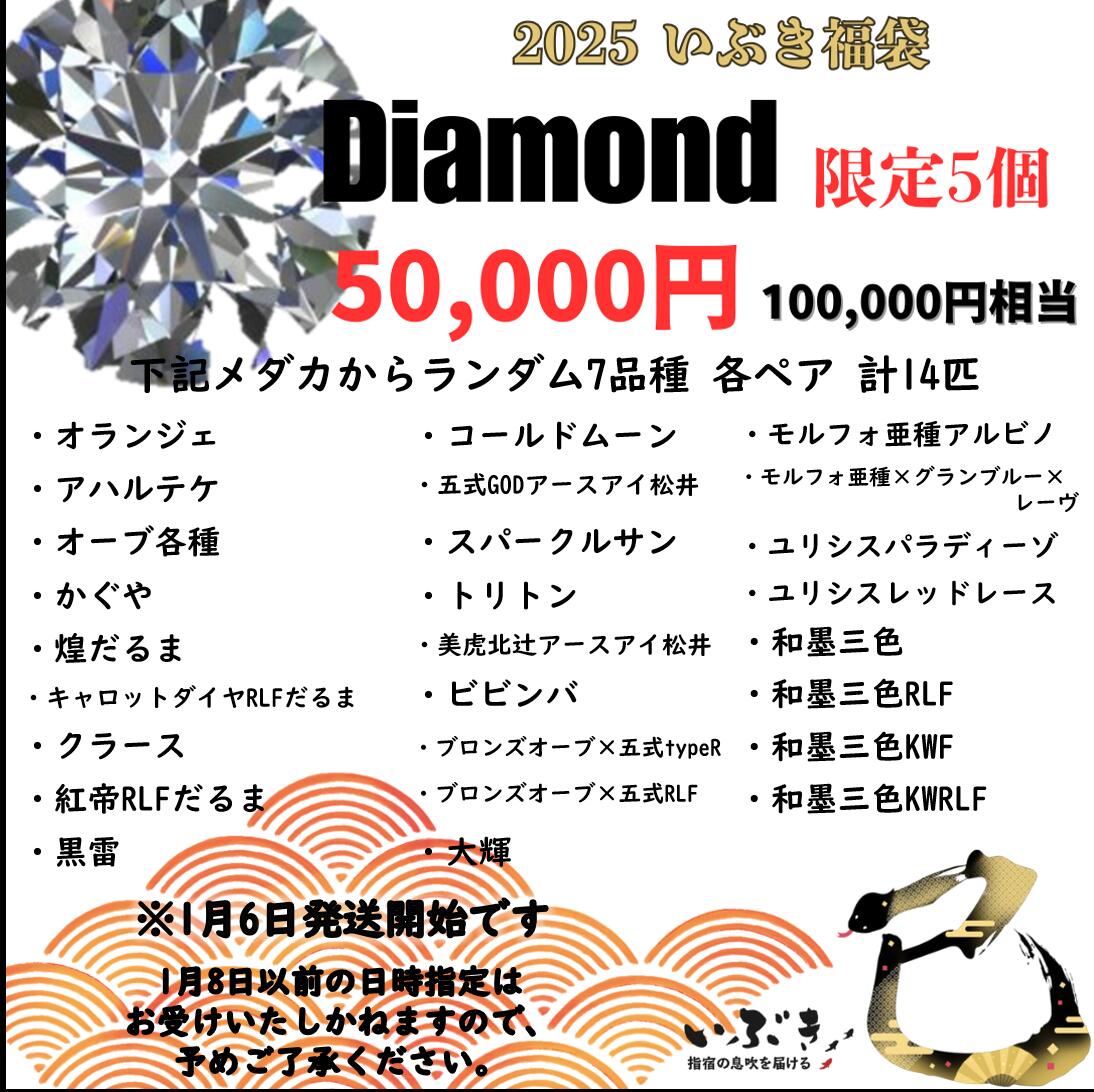 【いぶき福袋】ダイヤモンド　ハイブランドメダカ7品種　10万円相当　1/6以降発送のサムネイル