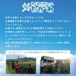 生姜農家がつくったしょうがシロップ3本セット