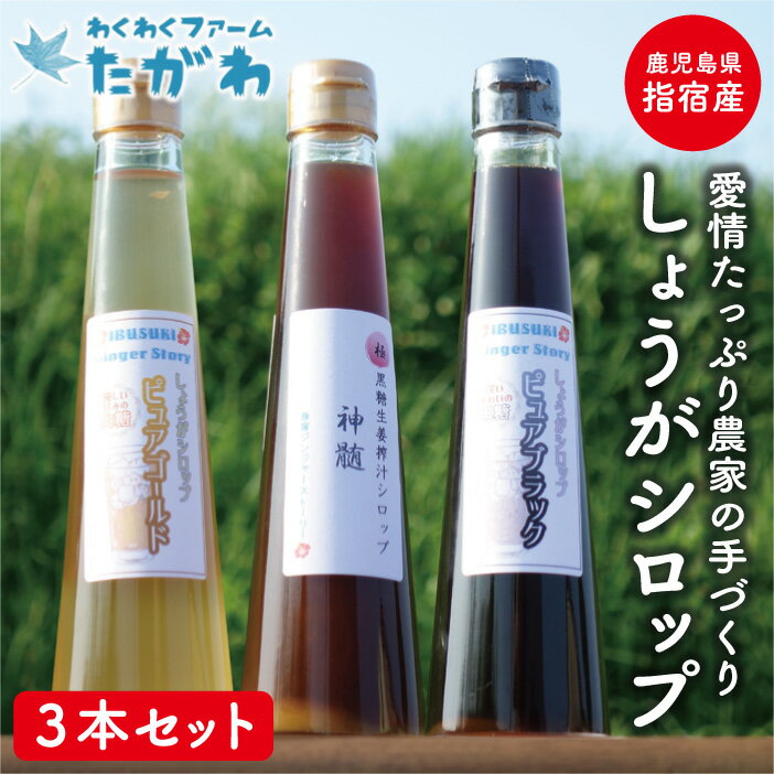 「生姜農家がつくったしょうがシロップ3本セット」鹿児島県 指宿産 生姜 しょうが シロップ わくわくファームたがわ 生姜シロップ 農家の手作り ギフト 贈り物 ギフト 特産品 鹿児島特産品 指宿特産品 父の日