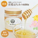無添加・非加熱・加工等一切なし【鶴田養蜂場の純粋はちみつ600g】国産 はちみつ ハチミツ 蜂蜜 百花蜜 グルメ 鹿児島県 お土産 土産 お取り寄せ ギフト 御...