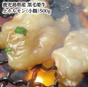 A4等級未経産牛【鹿児島県産 黒毛姫牛 上ホルモン(小腸)500g】Meatyou 黒毛和牛 和牛 牛肉 焼肉 ホルモン 指宿 国産 A4等級 霜降り 贈り物 ...