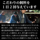 【鹿児島県産 黒毛姫牛 三角バラ焼肉用300g】黒毛和牛 鹿児島 A4等級 未経産牛 黒毛和牛 鹿児島 和牛 牛肉 焼肉 指宿 国産 A4ランク 霜降り 贈り物 贈物 ギフト 内祝い用 プレゼント 特産品 鹿児島特産品 指宿特産品 ギフト 肉 姫牛 鹿児島の黒 贈答品 母の日 父の日 3