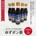 木頭村・柚子しぼり 100ml（小）×4個セット【沖縄・別送料】【きとうむら】【05P03Dec16】