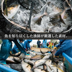 漁師が作った干物セット5種類10パックセット