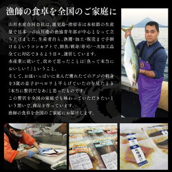 漁師が作った干物セット5種類10パックセット