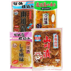 【お中元】【鹿児島お土産】【漬物】伝統「山川漬」と現代アレンジ「つぼ漬」詰合せ。鹿児島のなつかしい味。お土産好適品!いろんな味が楽しめます!つぼ漬しそ風味・かめ仕込み山川漬・山川漬無着色・つぼ漬こんぶ入【クーポン利用3割引】