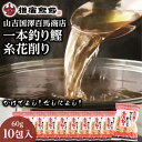 【送料無料】【山吉国澤百馬商店 一本釣り鰹糸花削り60g×10袋入】鹿児島 指宿 鰹節 本枯れ節 お取り寄せ お土産 本枯れ節 特産品 だし だし汁 指宿鰹節 削り節 鰹節本枯 かつお節 かつおぶし ギフト 贈り物 贈物 特産品 鹿児島特産品 指宿特産品 母の日 父の日