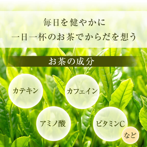 煎茶 知覧茶 やぶきた 80g 鹿児島 お茶 緑茶 茶葉 茶 美老園 送料無料 3