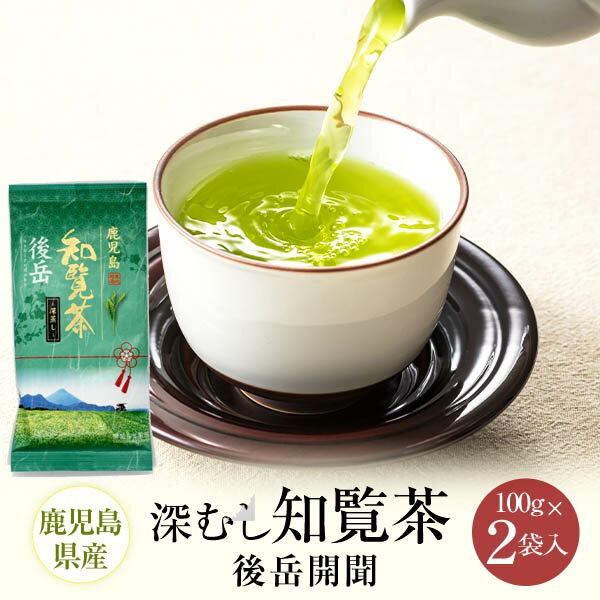 楽天鹿児島のお土産通販　いぶすき屋煎茶 後岳開聞 100g×2 鹿児島茶 お茶 緑茶 茶葉 深蒸し茶 知覧 鹿児島 ギフト プレゼント 送料無料