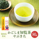 煎茶 知覧茶 やぶきた 80g 鹿児島 お茶 緑茶 茶葉 茶 美老園 送料無料