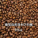 びわタネ 枇杷種 国産びわ 生種 1Kg 生枇杷種 びわの種 鹿児島 無農薬ビワ (冷凍) 令和7年産
