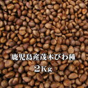 びわタネ 枇杷種 国産びわ 生種2Kg 生枇杷種 びわの種 鹿児島 無農薬ビワ (冷凍) 令和7年産