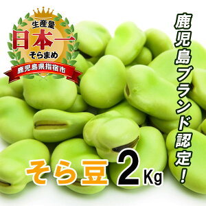 そら豆 サヤ付き Lサイズ 2kg A品 鹿児島 国産 空豆 そらまめ ソラマメ おつまみ 生産量日本一 産地直送 指宿特産品 ギフト 贈り物 お年賀 送料無料