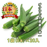 おくら オクラ 新鮮生 8本×20袋 鹿児島 指宿青果 食材 特産品