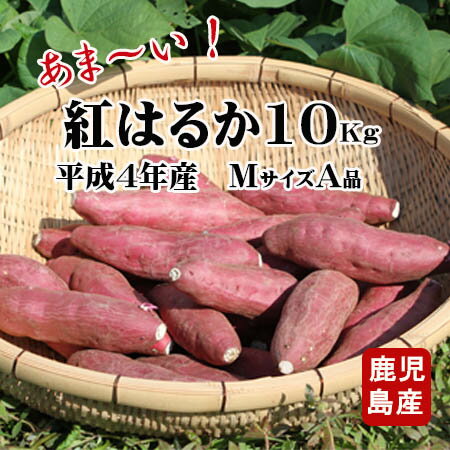 さつまいも 焼き芋 薩摩芋 鹿児島 生いも 紅はるか 送料無料 10kg 5kg 2箱 べにはるか 蜜芋 サツマイモ さつま芋 10キロ Mサイズ A品 焼き芋に 美容 ギフト