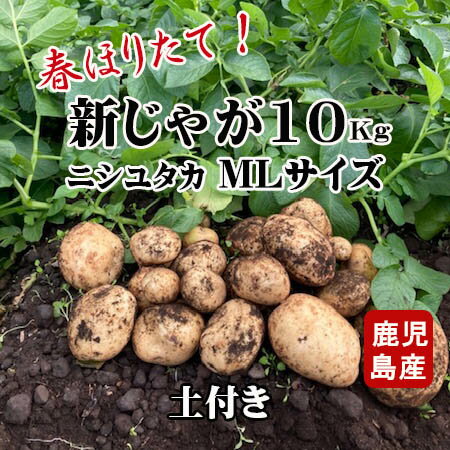 楽天市場】新じゃがいも10kg 徳之島の通販 楽天市場】新じゃがいも10kg 徳之島の通販