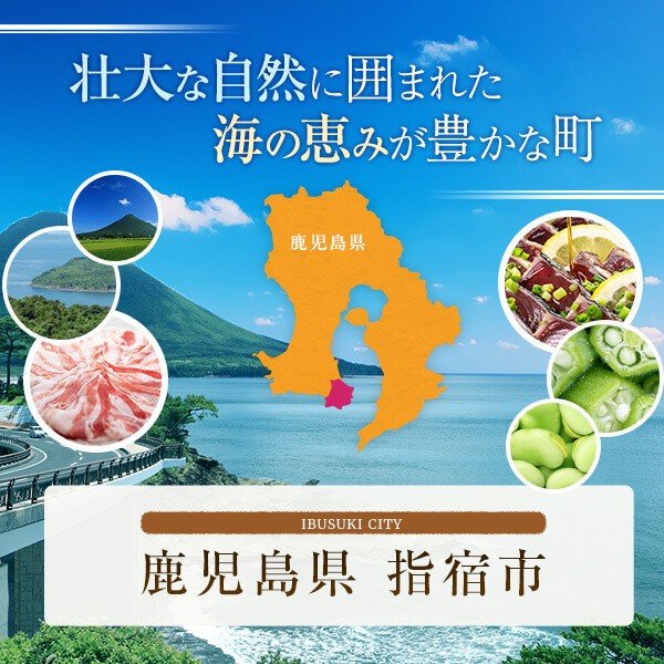 さつま揚げ 父の日 ギフト 詰め合わせ 6種 26個入 「昔だより」ギフト 鹿児島 さつ...