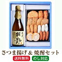 焼酎とおつまみのセット 2024 母の日 父の日 ギフト さつま揚げ 8種18個 詰め合わせ + 焼酎 桐野セット 焼酎 プレゼント ギフト グルメ 焼酎セット 桐野 贈り物 「さつま揚げ＆桐野 720ml」 大山甚七酒造 さつまあげ(8種 18個) 芋焼酎 鹿児島県 御祝 送料無料